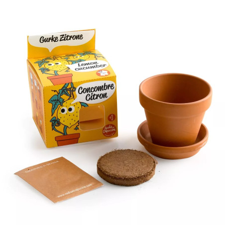 Kit Pot Terre Cuite 8 cm Concombre Citron - Radis et Capucine