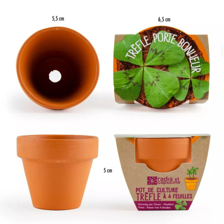 Mini Kit 6 cm Terre Cuite Trèfle 4 Feuilles - Radis et Capucine