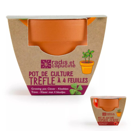Mini Kit 6 cm Terre Cuite Trèfle 4 Feuilles - Radis et Capucine