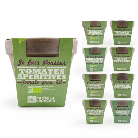 Pot Terre Cuite Basalte Tomate Cerise Bio - Radis et Capucine