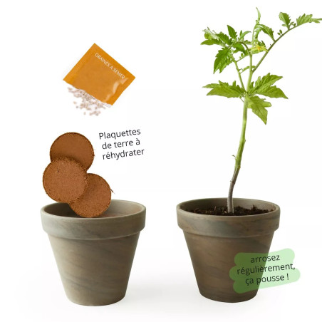 Pot Terre Cuite Basalte Tomate Cerise Bio - Radis et Capucine