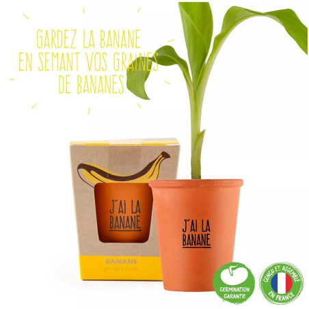 Kit Message J'ai la Banane Bananier - Radis et Capucine