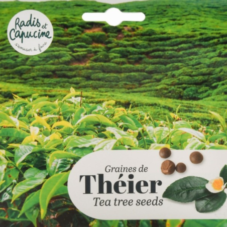 Graines Théier de Chine - Radis et Capucine