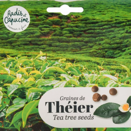 Graines Théier de Chine - Radis et Capucine