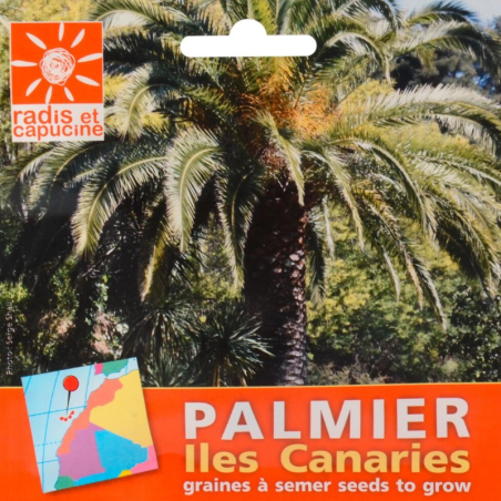 Graines Palmier des Canaries - Radis et Capucine