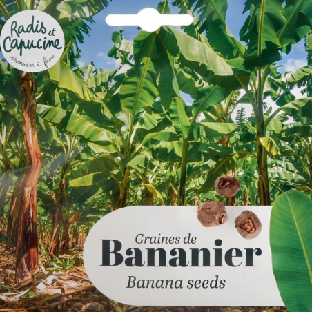 Graines Bananier de Côte d'Ivoire - Radis et Capucine