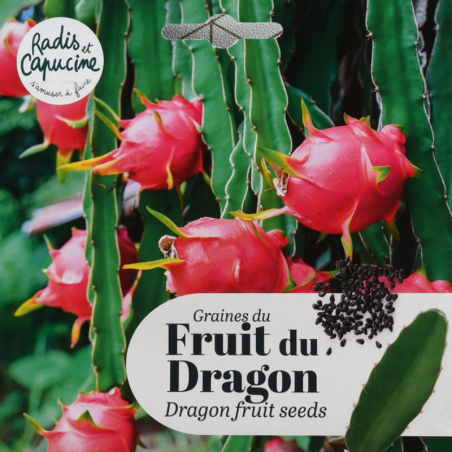 Graines Fruit du Dragon Pitaya - Radis et Capucine