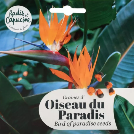 Graines Oiseau du Paradis Strelitzia - Radis et Capucine