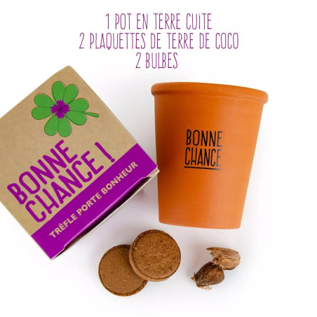 Kit Message Trèfle à 4 Feuilles - Radis et Capucine