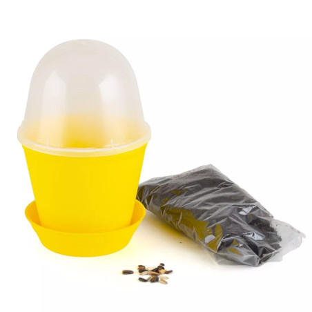 Pot Cloche Tournesol Bio - Radis et Capucine