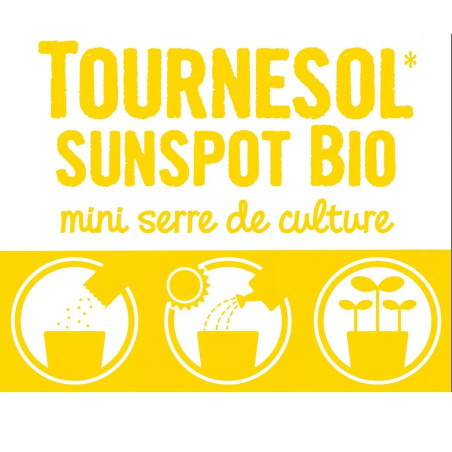 Pot Cloche Tournesol Bio - Radis et Capucine