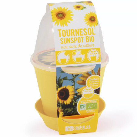 Pot Cloche Tournesol Bio - Radis et Capucine