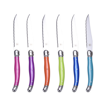 Ménagère 24 pièces Couleurs en Acier Inoxydable - Laguiole
