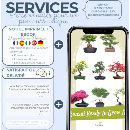 Kit Bonsaï Japanese Maple avec Graines & Accessoires - Cultivea