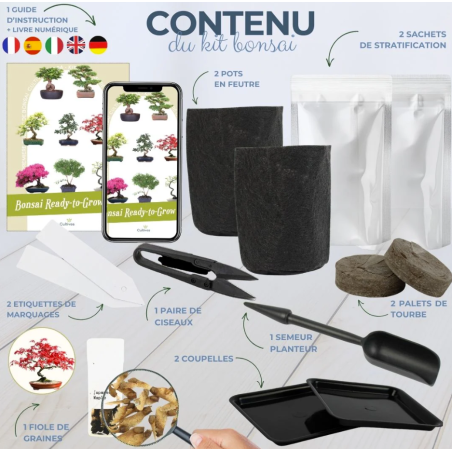 Kit Bonsaï Japanese Maple avec Graines & Accessoires - Cultivea