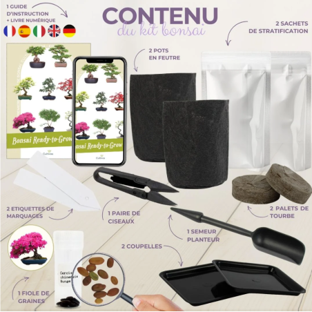 Kit Bonsaï Cercis Chinesis avec Graines & Accessoires - Cultivea