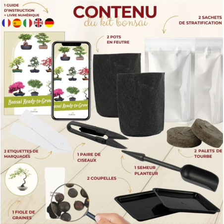 Kit Bonsaï Chinese Hackberry avec Graines & Accessoires - Cultivea