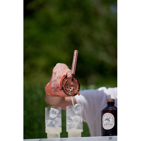 Sirop Brut de Verveine Bio - Bacanha