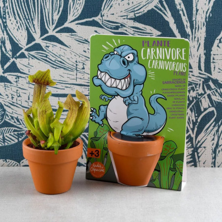 Carte nature - T-Rex Plante carnivore - Radis et Capucine