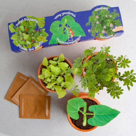 Trio 3 Pots Plantes Magiques - Radis et Capucine