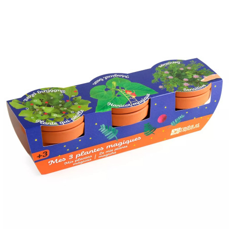 Trio 3 Pots Plantes Magiques - Radis et Capucine