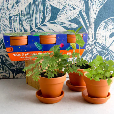 Trio 3 Pots Plantes Magiques - Radis et Capucine