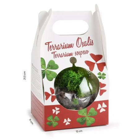 Terrarium Boule Trèfle 4 Feuilles et Pourpre - Radis et Capucine