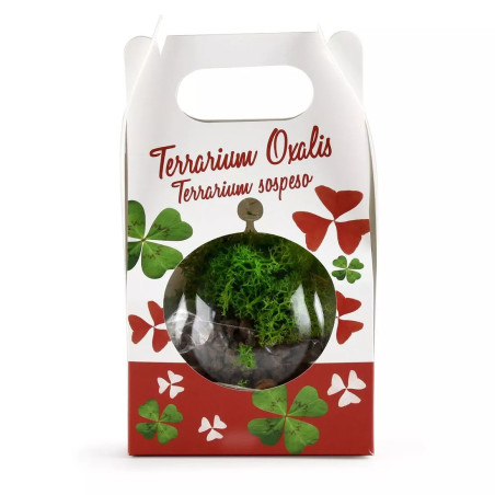 Terrarium Boule Trèfle 4 Feuilles et Pourpre - Radis et Capucine