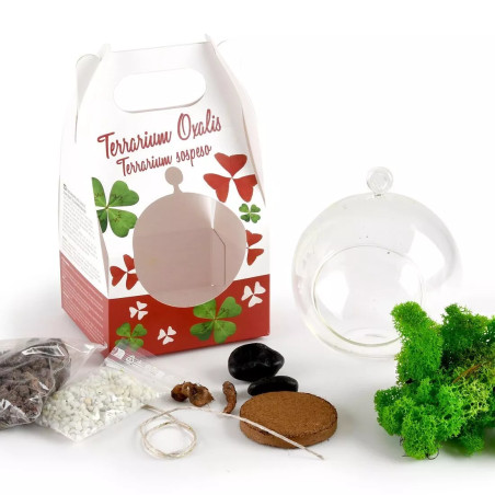 Terrarium Boule Trèfle 4 Feuilles et Pourpre - Radis et Capucine