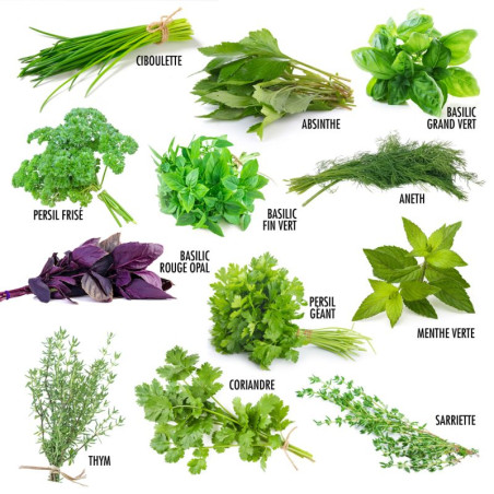 Kit 12 Sachets d'Aromates - Radis et Capucine