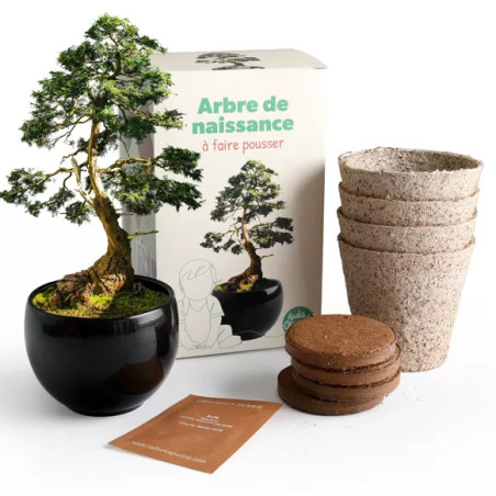 Kit jardinage arbre de naissance Cèdre - Radis et Capucine