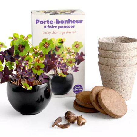 Kit trèfle 4 feuille porte bonheur - Radis et Capucine