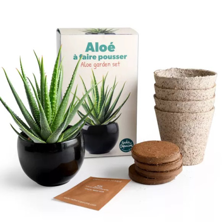 Kit jardinage aloe vera - Radis et Capucine