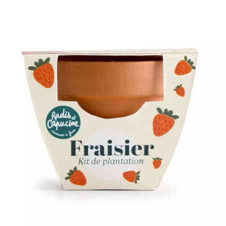 Mini Kit 6 cm Terre Cuite Fraise - Radis et Capucine