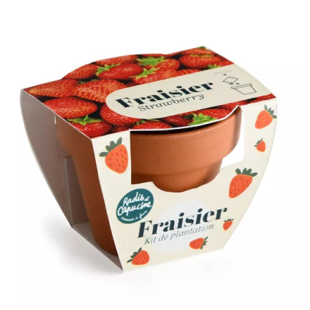 Mini Kit 6 cm Terre Cuite Fraise - Radis et Capucine