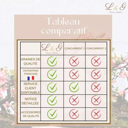 Kit 6 Bonsaïs à faire pousser avec Graines & accessoires - Cultivea