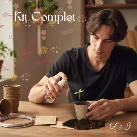 Kit 6 Bonsaïs à faire pousser avec Graines & accessoires - Cultivea