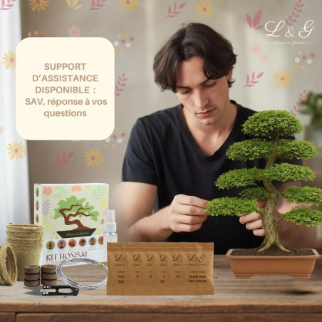 Kit 6 Bonsaïs à faire pousser avec Graines & accessoires - Cultivea
