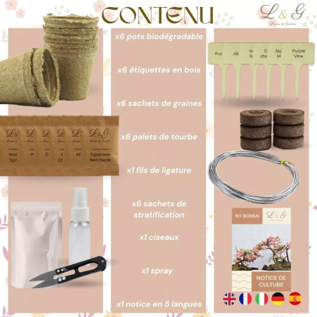 Kit 6 Bonsaïs à faire pousser avec Graines & accessoires - Cultivea