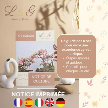 Kit 6 Bonsaïs à faire pousser avec Graines & accessoires - Cultivea