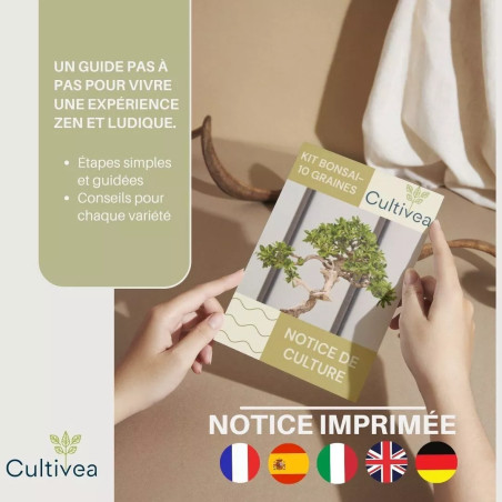 Kit 10 Bonsaïs à Planter Coffret Complet avec Graines, Pots, Outils & Notice - Cultivea