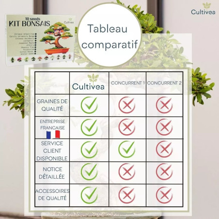 Kit 10 Bonsaïs à Planter Coffret Complet avec Graines, Pots, Outils & Notice - Cultivea