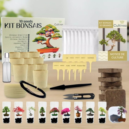Kit 10 Bonsaïs à Planter Coffret Complet avec Graines, Pots, Outils & Notice - Cultivea
