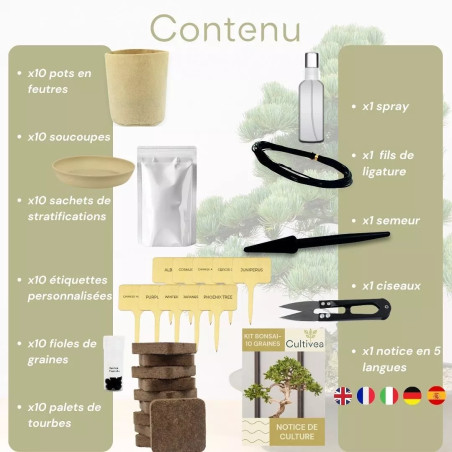 Kit 10 Bonsaïs à Planter Coffret Complet avec Graines, Pots, Outils & Notice - Cultivea