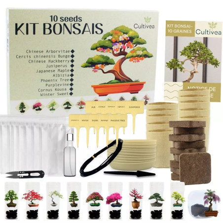 Kit 10 Bonsaïs à Planter Coffret Complet avec Graines, Pots, Outils & Notice - Cultivea