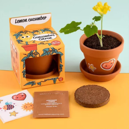 Kit Pot Terre Cuite 8 cm Concombre Citron - Radis et Capucine