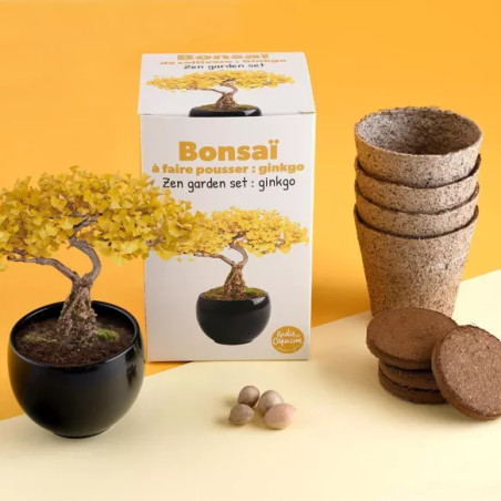 Kit Bonsaï Ginkgo Jaune - Radis et Capucine