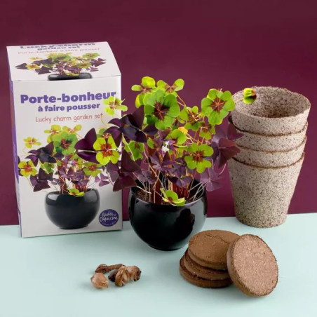 Kit trèfle 4 feuille porte bonheur - Radis et Capucine