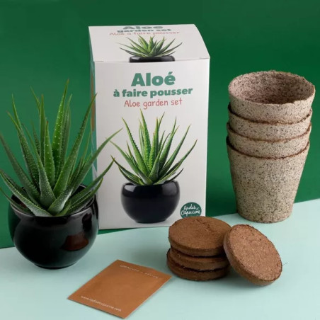 Kit jardinage aloe vera - Radis et Capucine