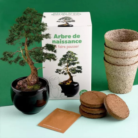 Kit jardinage arbre de naissance Cèdre - Radis et Capucine